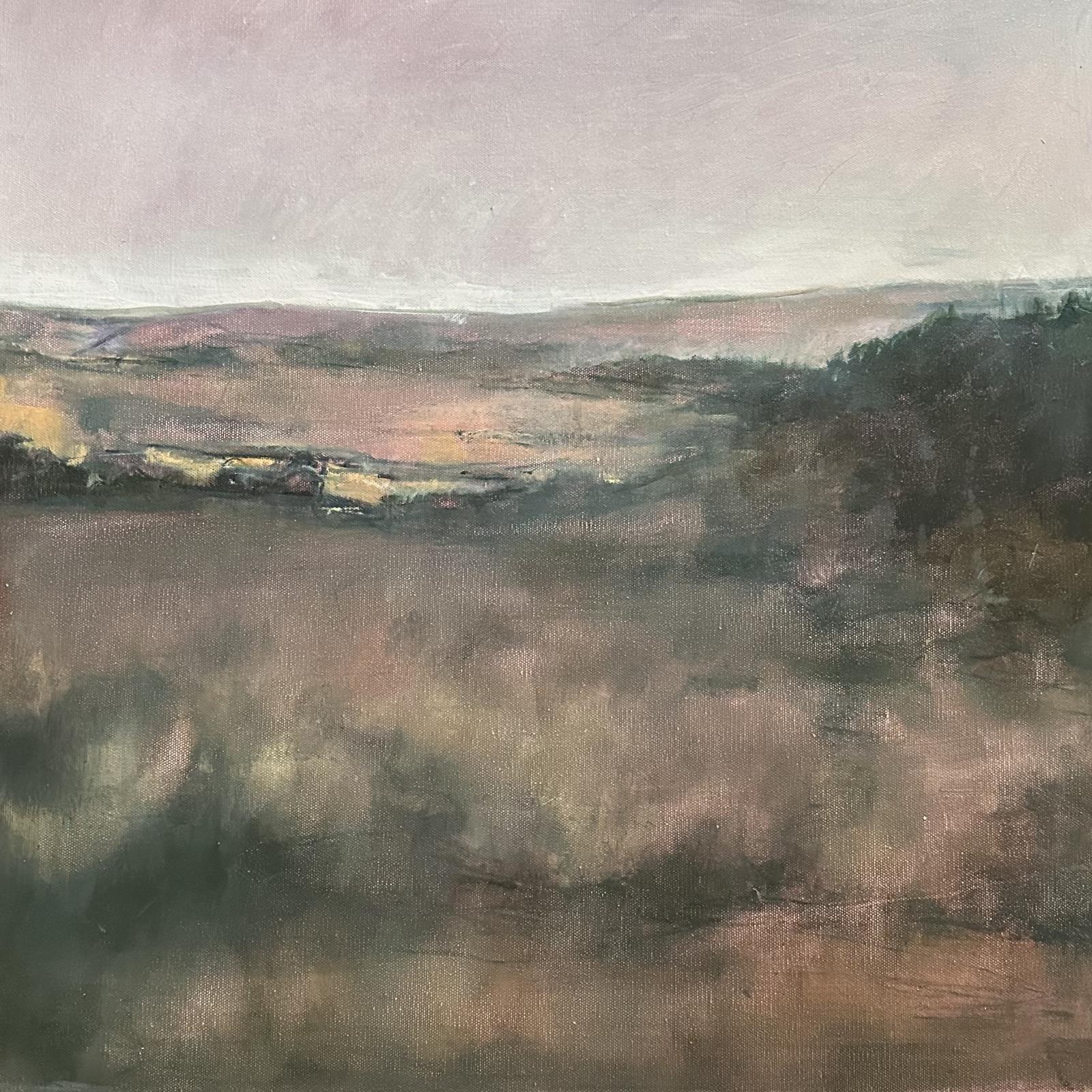 Dartmoor Evening 